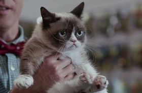 Internet star Grumpy Cat may not be quite as wealthy as everyone thought, but she does make a great case for financial and estate planning in light of a sudden windfall.

The frowny feline, a two-year-old cat named Tardar Sauce, recently made headlines when it was <a href="http://www.businessinsider.com/grumpy-cat-has-earned-its-owner-nearly-100-million-in-just-2-years-2014-12" target="_blank">reported</a> that she earned her owner, Tabatha Bundesen of Morristown, Ariz., $100 million. Ms. Bundesen later told The Huffington Post that the $100 million figure was <a href="http://www.huffingtonpost.com/2014/12/08/grumpy-cat-100-million_n_6288502.html" target="_blank">"completely inaccurate</a>."

Nevertheless, the scowling furball has done well from sales of books, coffee and other <a href="http://www.grumpycats.com/grumpy-cat-merchandise/" target="_blank">merchandise</a> -- she even has a holiday movie on <a href=https://www.youtube.com/watch?v=PrSPuBYm-Cw  target="_blank">Lifetime</a> — that Ms. Bundesen has reportedly been able to <a href="http://www.businessinsider.com/meet-grumpy-cats-owner-tabetha-bundesen-2014-12" target="_blank">quit her day job as a waitress</a>.

Inspired by Grumpy Cat's sudden success, here are five tips for managing a sudden -- and possibly unexpected -- success that brings big money with it.

-- Darla Mercado
